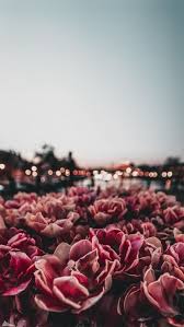 If so, you'll love these gorgeous designs! Spring Is In The Air In 2019 Nature Wallpaper Nature Aesthetic Iphone Wallpaper Wallpapers