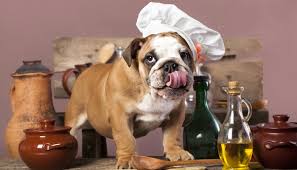 homemade dog food for liver disease