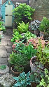 Container Garden Containergardening Smallgardendesign Container Containergardening Garden Co Small Gardens Container Gardening Flowers Container Gardening