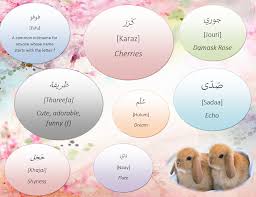 The most popular would be rainbow, sunshine, and smokey. Sharing My Love For Arabic Arabic Names For Your Pets Part 3 Rabbits And