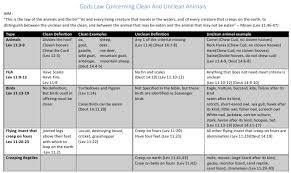 Bible Charts And Diagram The Hesitant Prize Fighter