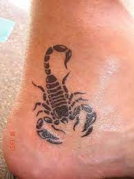 Epingle Par Erin Rose Sur Www Tattoo Tattoos Biz Tatouage Scorpion Tatouage De Scorpion Bonnes Idees De Tatouage