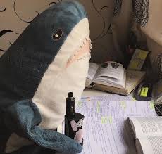 Pin Ot Polzovatelya Boos Na Doske Cute Shark Mem Akula Akula Memy