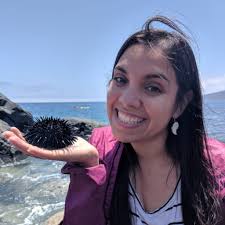 Fiona Curliss (@hypnopodia)