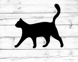Are you searching for black cat png images or vector? Pin On Products