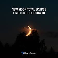 Sagittarius What S In Store For You Today Best Psychics Astrology And Horoscopes Psychic Reading