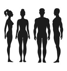 Check out wvtm:get the top birmingham, alabama news of the day. Side Profile Woman Body Vector Images Over 450