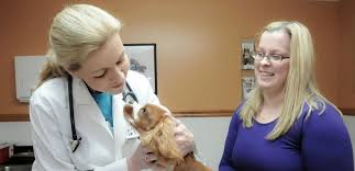 Veterinary emergency group is open nights, weekends, and holidays to help when your regular animal hospital is closed. Veterinarians Cheektowaga Veterinary Hospital
