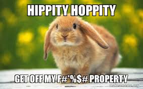 We did not find results for: Hippity Hoppity Get Off My F Property Regretful Rabbit Make A Meme