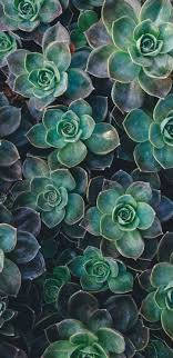 Samsung Galaxy S9 Wallpaper 4k Download New and best 97,000 of desktop wallpapers, hd backgrounds for pc & mac, laptop, tablet, mobile phone. samsung galaxy s9 wallpaper 4k download