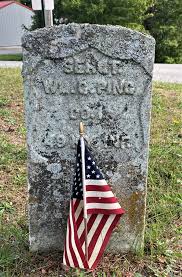 SGT William Green Ping (1836-1909)