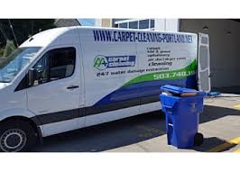 The best pest control portland offers! 3 Best Carpet Cleaners In Portland Or Expert Recommendations