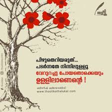 Pin By Bindhu On Mazhayormakal Positive Attitude Quotes Emotional Quotes Malayalam Quotes