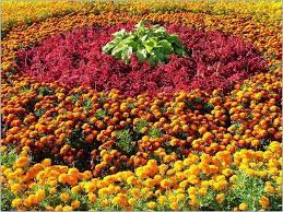 33 Beautiful Flower Beds Adding Bright Centerpieces To Yard Landscaping And Garden Design Garden Design Flower Beds Yard Landscaping