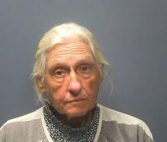 Name: HANNAH ROSE ARNOLD Arrest Date: 10/11/2025 Offense: