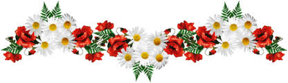 images?q=tbn:ANd9GcQzhEw-cAyaGd1BJoO1tnP