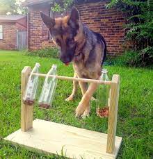 Deciding to make your own dog food at home brings excitement and challenge at the same time. Pin On Para Casa