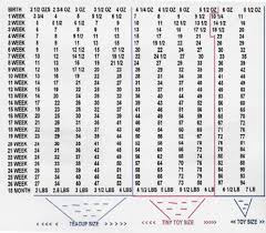 Competent Weight Chart For Puppies Growth Average Horse