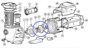 Pool Pump Parts Explained Intheswim Pool Blog