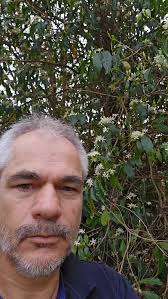 Image result for Coffea salvatrix