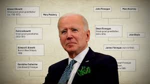 Image result for Bidens elliotii