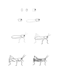 Pin Auf Flora Fauna