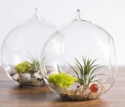 Amazon Com Mkono Glass Vase Plant Terrarium With Metal Stand 2 Globe Patio Globe Candle Holder Candle Holders Hanging Glass Terrarium