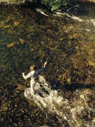 The Cape Piscatorial Society in 2016