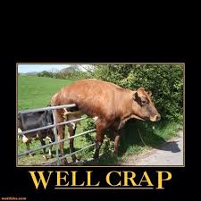 Makes A Country Girl Laugh Every Time Funny Animals Funny Pictures Bones Funny