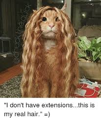 Top 17 Best Of Funny Hair Hair Extension Memes 2021