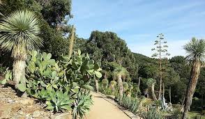 Les Partenaires Du Climat Mediterraneen Paysage Jardins