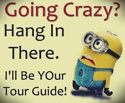 I Ll Be Your Tour Guide Minion Jokes Funny Minion Quotes Minions Funny
