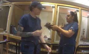 Petropolis local pet food and supply store is a healthy pet shop with everything you need for your find your store. Chelsea Kennel Club Undercover Video Exposes Animal Abuse Daily Mail Online