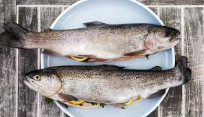 Rainbow trout (oncorhynchus mykiss) were exposed simultaneously to a homologous series of perfluoroalkyl carboxylates and… Trout Fishing Tips How To Catch The Different Trout Species Recipe