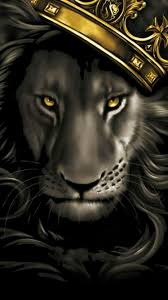We did not find results for: Lion Wallpapers 4k Hd Lion Backgrounds On Wallpaperbat