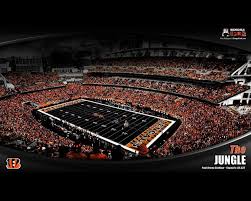 We hope you enjoy our growing collection of hd images to use as a background or home screen for your please contact us if you want to publish a cincinnati bengals wallpaper on our site. Cincinnati Bengals Wallpapers Wallpaper Cave