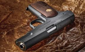 Image result for San Jose Brown 1992 Colt