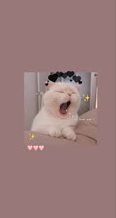 ستوري in 2021 cute emoji wallpaper cat wallpaper wallpaper iphone cute