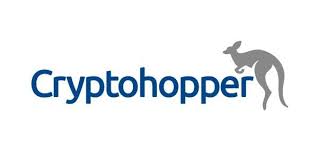 For new investors its best to keep a substantial portion in what would be considered largecap safe cryptos, primarily btc and eth. Cryptohopper Review 2021 Is This The Best Crypto Trading Bot Captainaltcoin