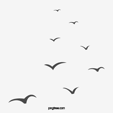 Black Animal Flying Birds Black Animal Bird Png Transparent Clipart Image And Psd File For Free Download Birds Flying Bird Outline Black Animals