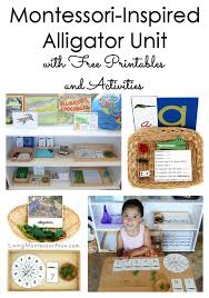 Many indoor games can be played outside! Montessori Inspired Alligator Unit With Free Printables And Activities Living Montessori Now
