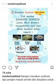 Check spelling or type a new query. Asiknya Beli Ikan Di Fish Market Sondoro Seafood