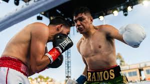 Complications of fluoroscopically guided caudal epidural injections. Jesus Ramos Next Fight Fighter Bio Stats News