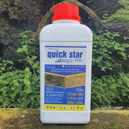 Quick Star 22SL