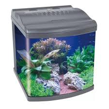 Boyu Aquario Curvo Mt 50 Mt 508a 80 Litros Preto Frete Sob Consulta Aquaricamp Loja De Aquarios