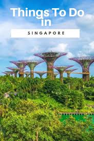 One of the best ways to take in the views of the southern precinct of singapore is on the singapore cable car! Fun Things To Do In Singapore Ramblingj Singapore Things To Do Singapore Travel Singapore Travel Tips