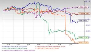When a Healthcare Giant Gets Sick: Elevance Health's 20% YTD Decline