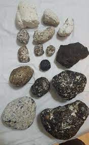 Entre y conozca nuestras increíbles ofertas y promociones. Como Identificar El Ambar Gris El Color El Olor Las Pruebas De Ambar Gris