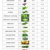 How to grow garden seeds. Https Encrypted Tbn0 Gstatic Com Images Q Tbn And9gcruo0orsjufbt4y4cq6j Uyrtcwji7ouiywrjjri9yqz3jiskut Usqp Cau