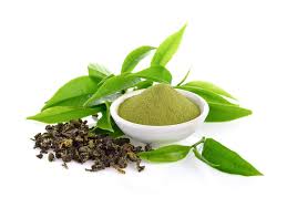 Kinh hãi công dụng của lá trà xanh tươi với sức khỏe - Đại Lý I'm Nature